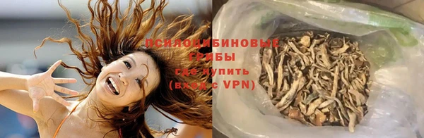шишки Белокуриха