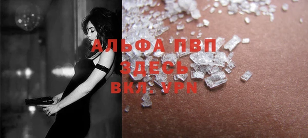 ПСИЛОЦИБИНОВЫЕ ГРИБЫ Инта