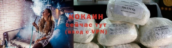 молекула духа Белоозёрский