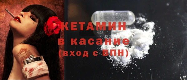 шишки Белокуриха
