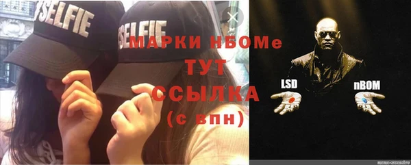 шишки Белокуриха