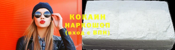 шишки Белокуриха