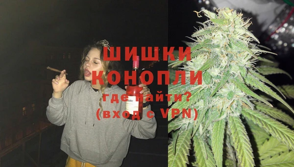 молекула духа Белоозёрский