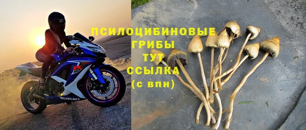 молекула духа Белоозёрский