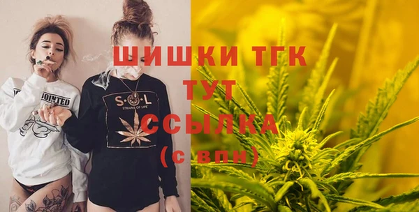 шишки Белокуриха
