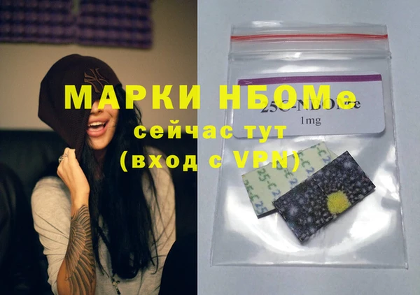 шишки Белокуриха