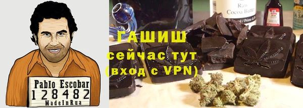 шишки Белокуриха