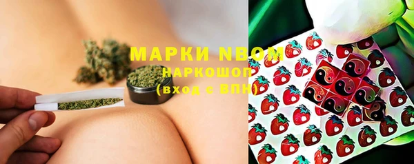 молекула духа Белоозёрский