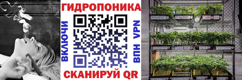 Каннабис сатива Могоча